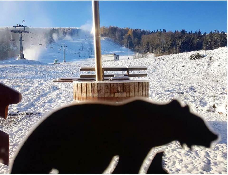 Pensjonat Laworta Ski Ustrzyki Dolne Exterior foto